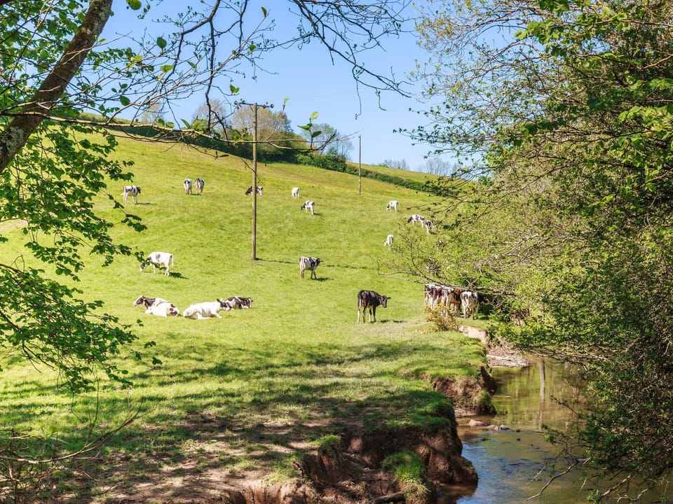 Idyllic surrounding farmland | Park Mill , Chulmleigh