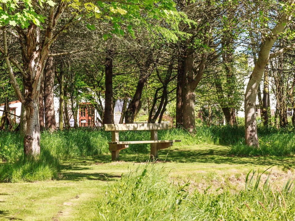A shady spot to sit | Park Mill Far, Chulmleigh