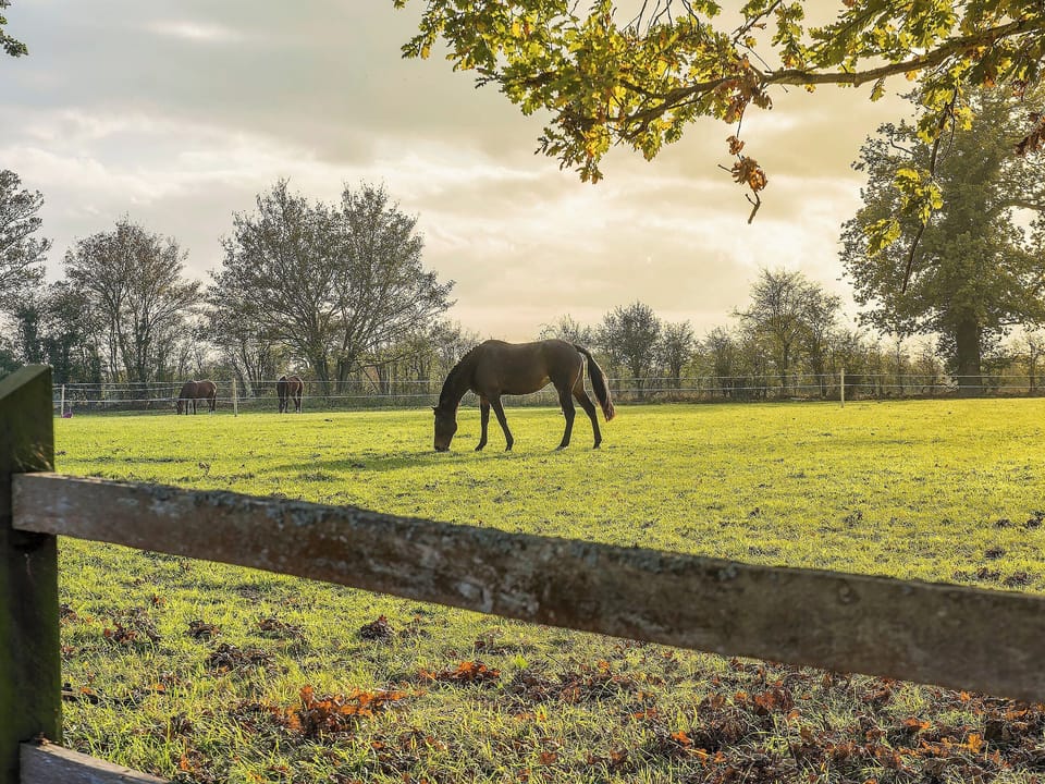 Surrounding area | Meadowsweet Cottage - Swardeston Cottages, Swardeston, near Mulbarton