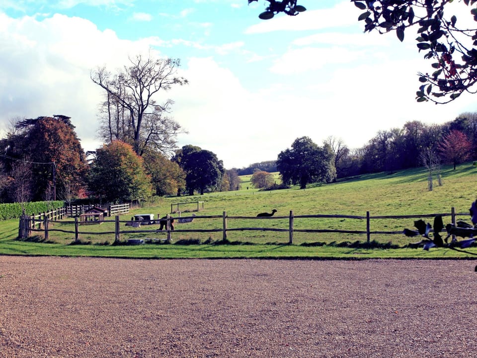 Garden and grounds | Alpaca Cottage, Frampton