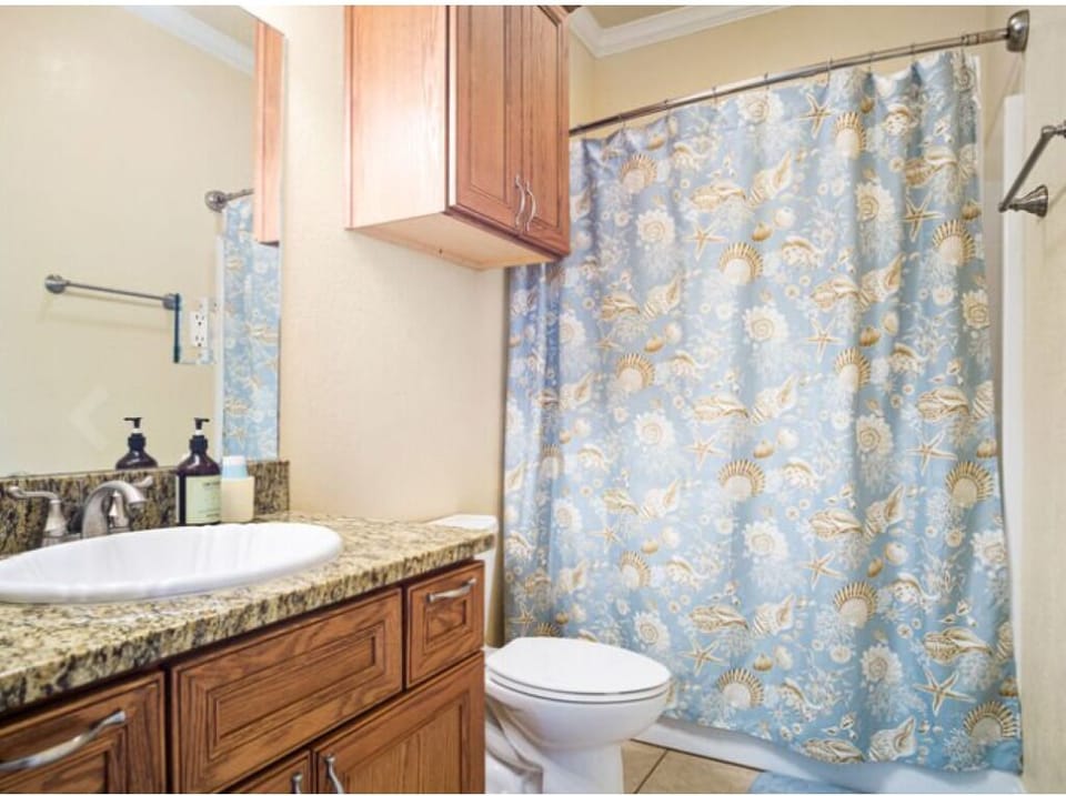 Master Bath w/ Tub/Shower Combo