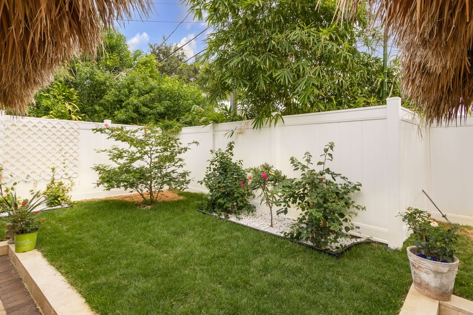 Zen Yard For Meditation With Tropical Plants