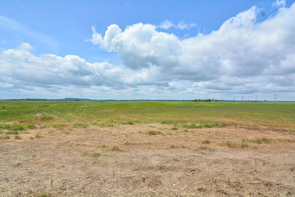 The salt marsh.