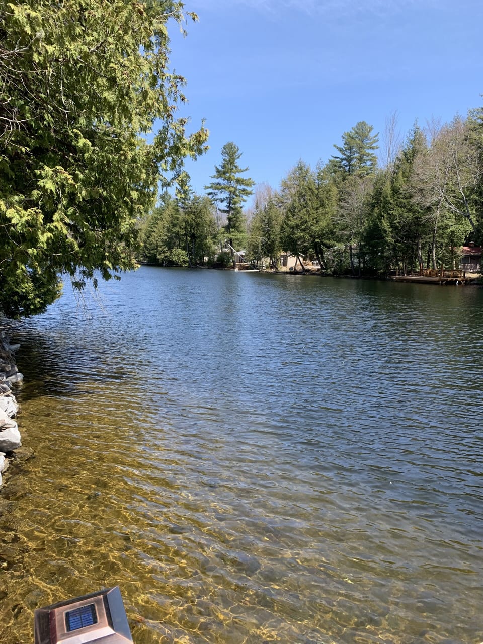 super clean weed free swimming!