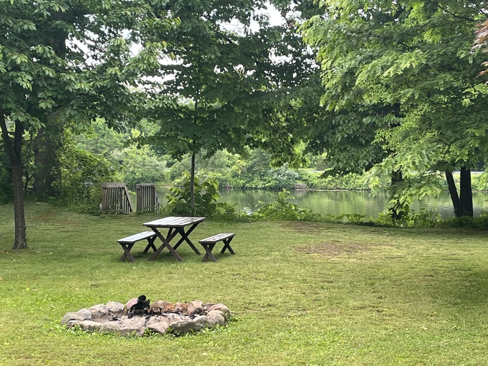 Back yard picnic table and fire pit