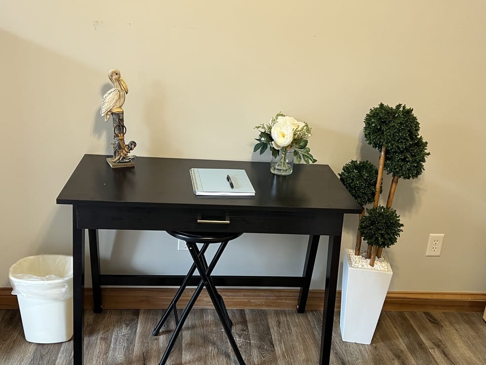 Work station in downstairs bedroom.