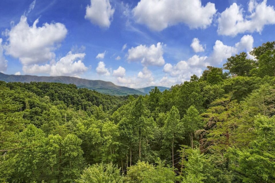 Views from Luxury Lookout's deck