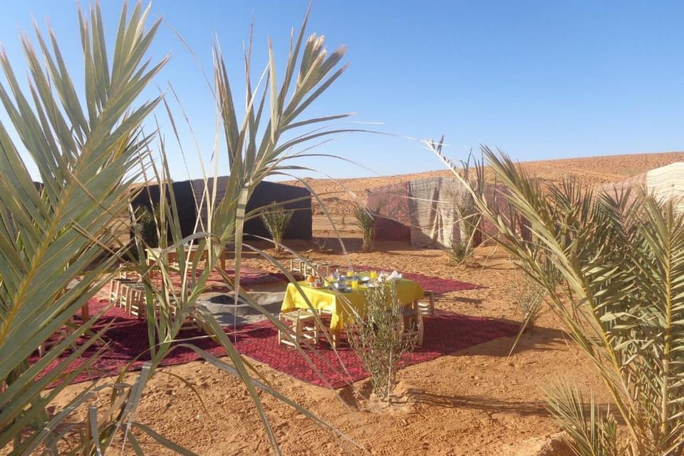 Image 13