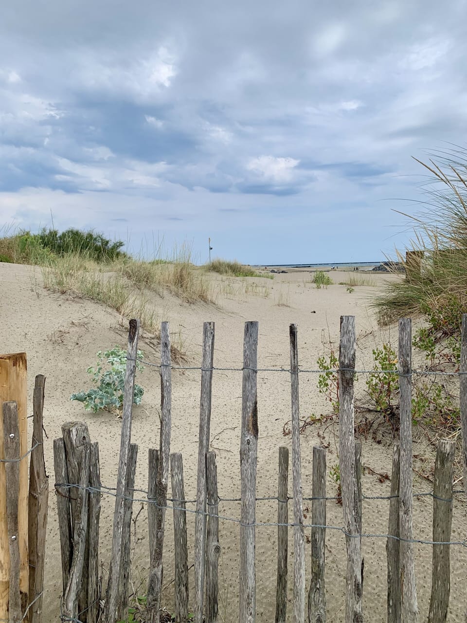 Beach