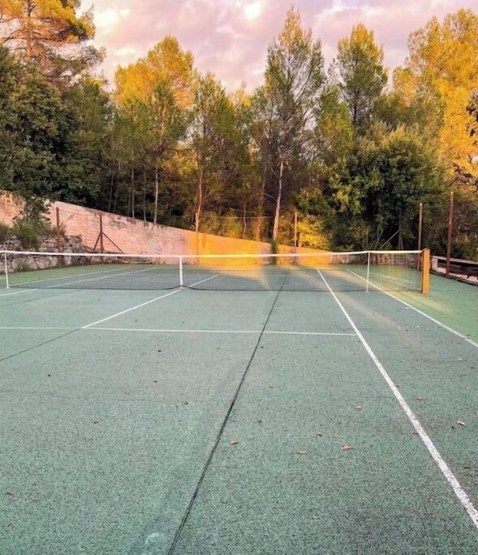 Sport court