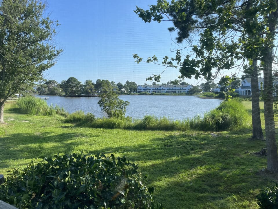 View from the porch!