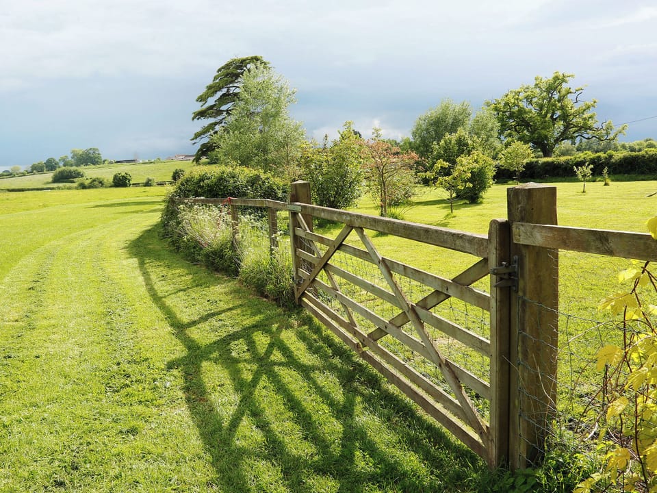 Ten acres of fields for energetic dogs at The Snug | The Snug - Midknowle Farm Cottages, South Barrow, near Yeovil 