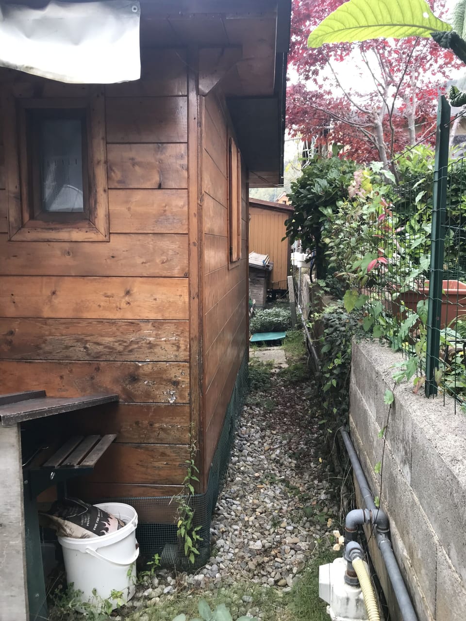 Image 9