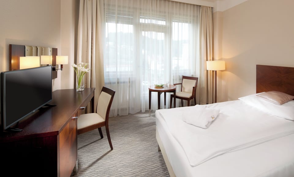 Deluxe Single room | 1 bedroom, minibar, in-room safe, free WiFi