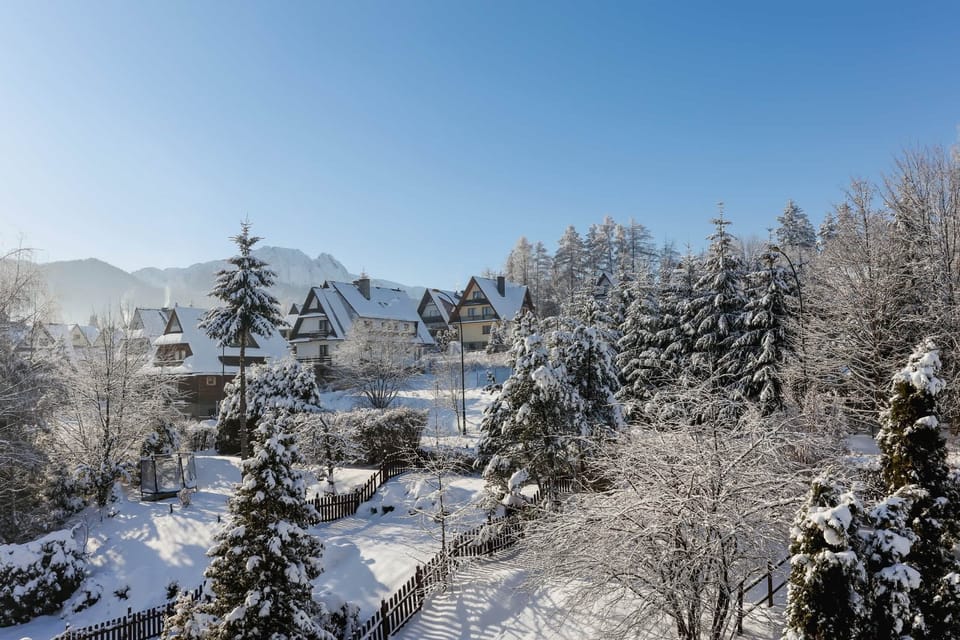 A stunning snowy landscape with a forest and mountains in the background, capturing the serene beauty of winter