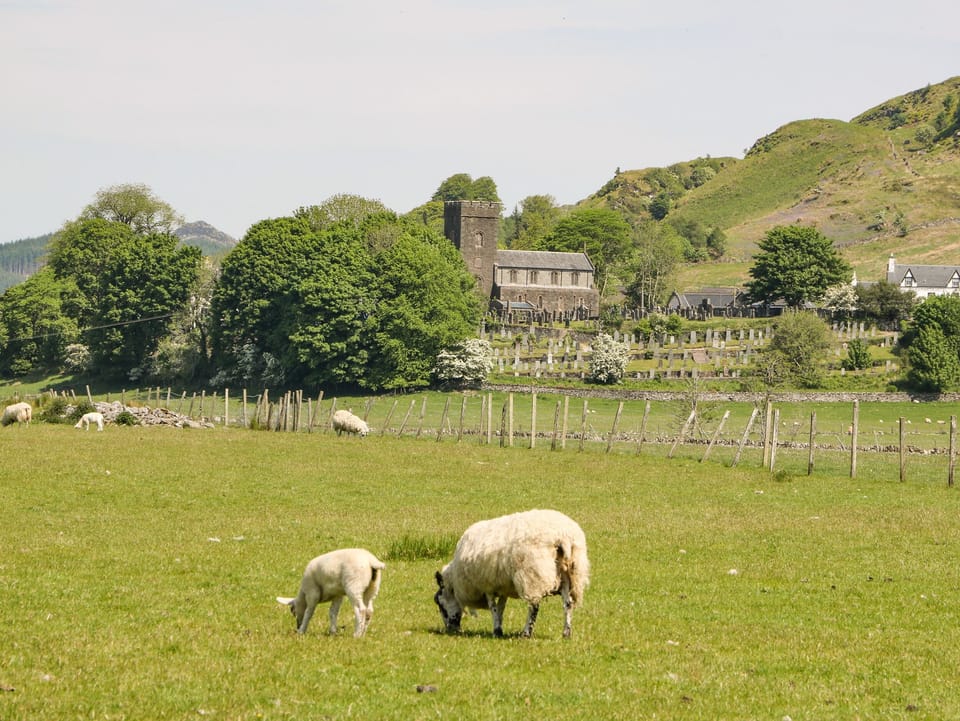 Cottage | Property grounds