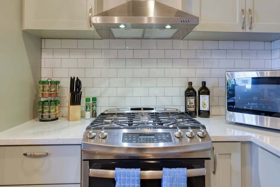 Stainless steel gas range