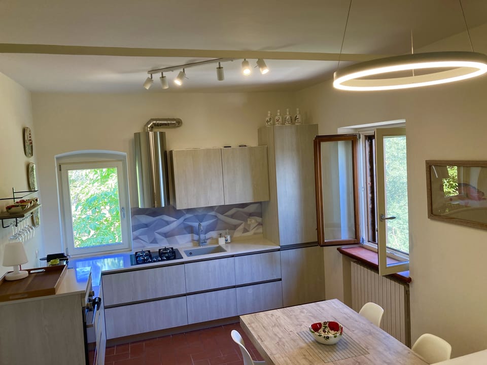 Dual aspect Chefs kitchen