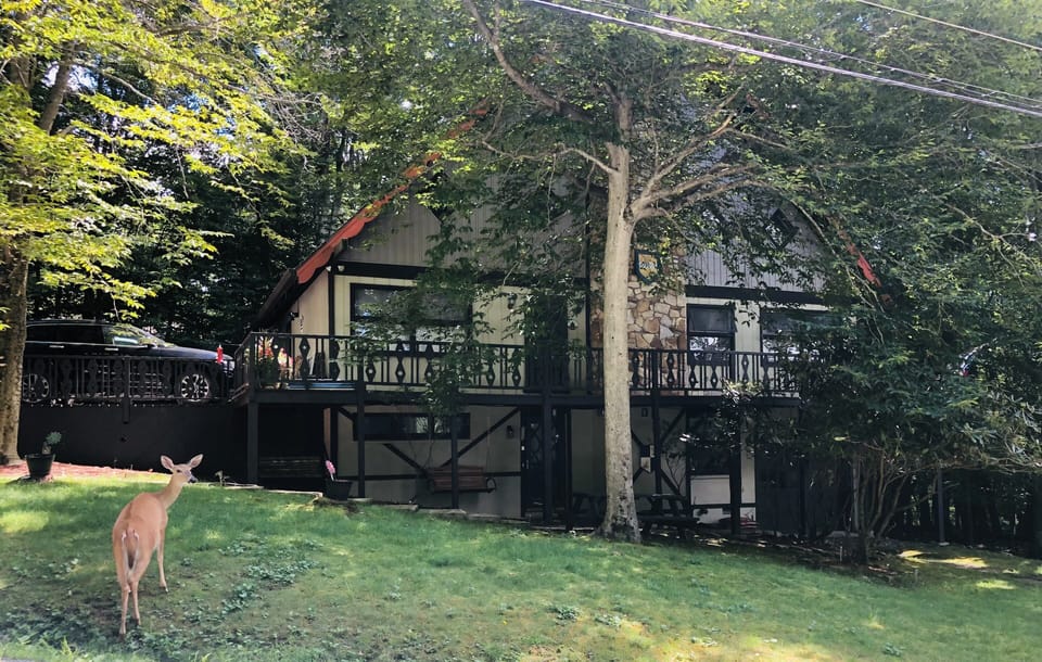 Whole property pic.
Guest suite is the whole lower level.