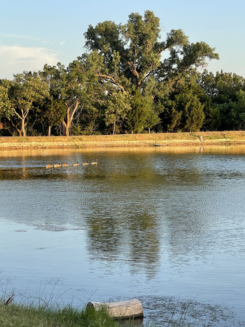 Lake