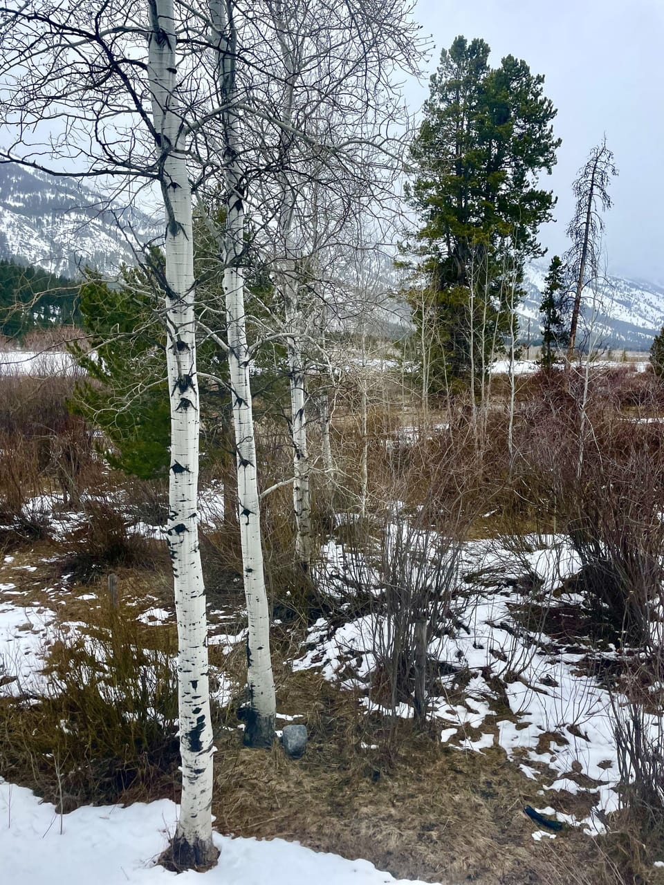 Cozy Fall Views from our dining nook 