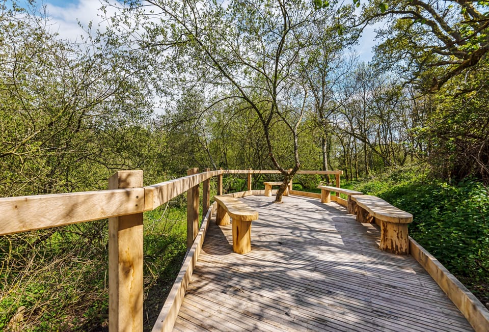Ladymeade, near Dorchester: The boardwalk with benches and picnic areas