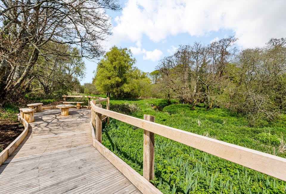 Ladymeade, near Dorchester: One of the boardwalk picnic areas and the perfect spot to watch the wildlife