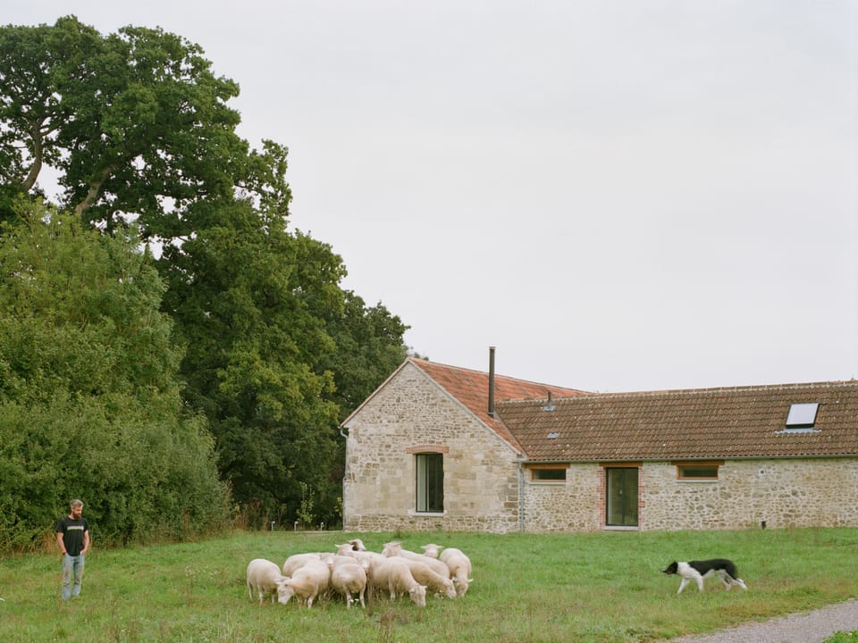 Lookout, near Dorchester: Enjoy your countryside retreat