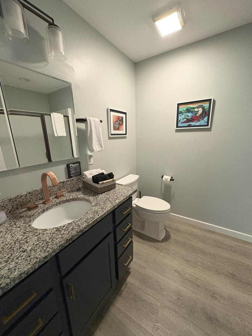 Full Bathroom downstairs