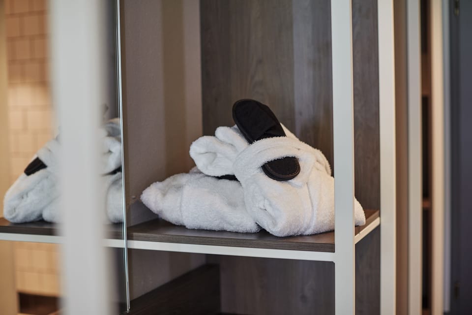 Deluxe Room | Bathroom amenities | Free toiletries, hair dryer, towels, soap