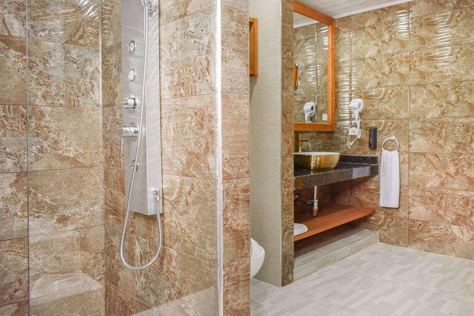 Deluxe Room, Park View | Bathroom | Rainfall showerhead, towels