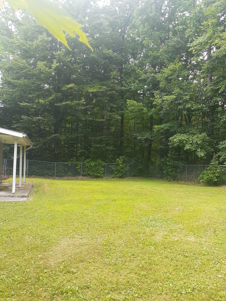 Big yard with fence. 5 acres beyond fence.