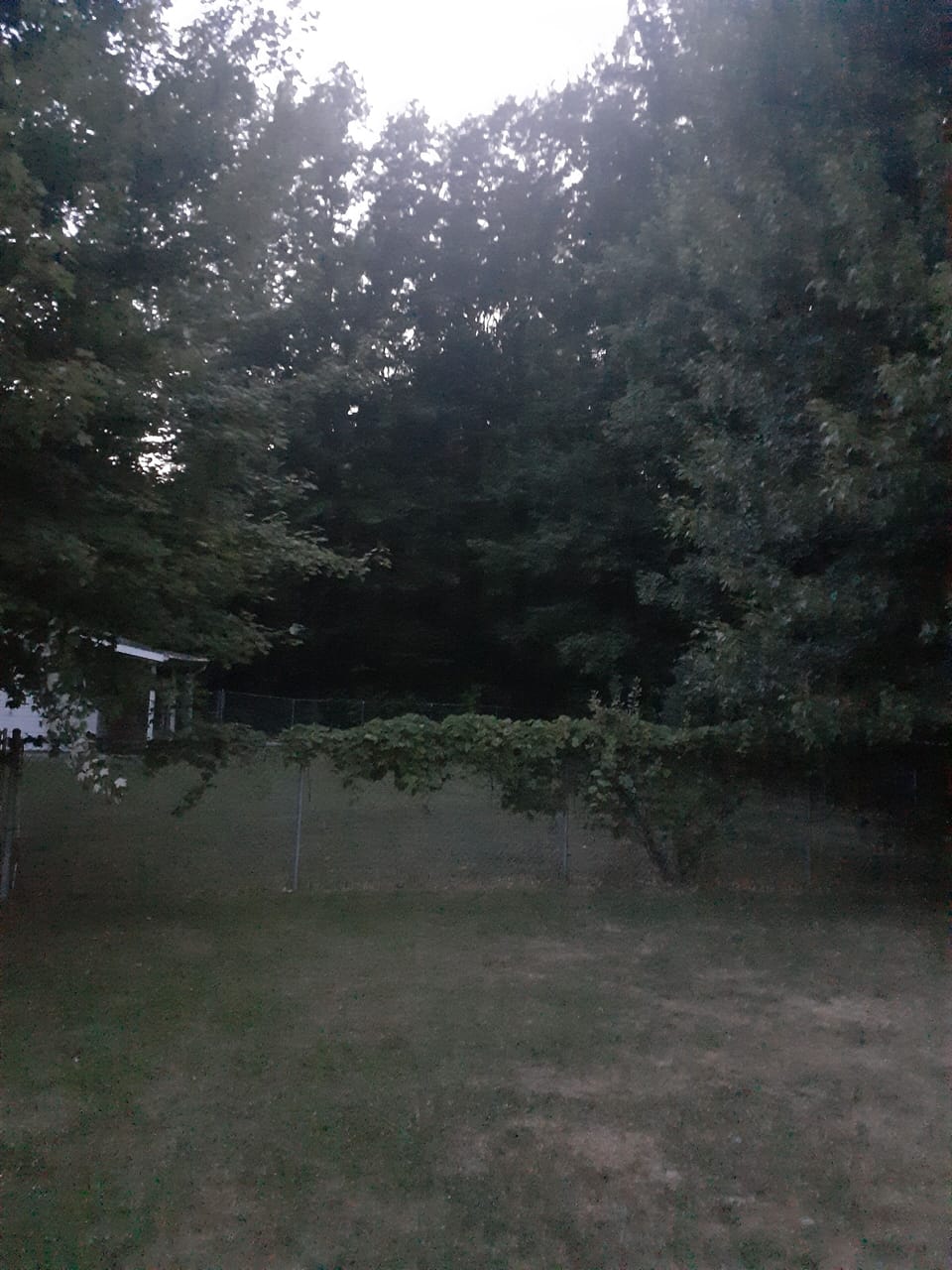 5 acres of woods.