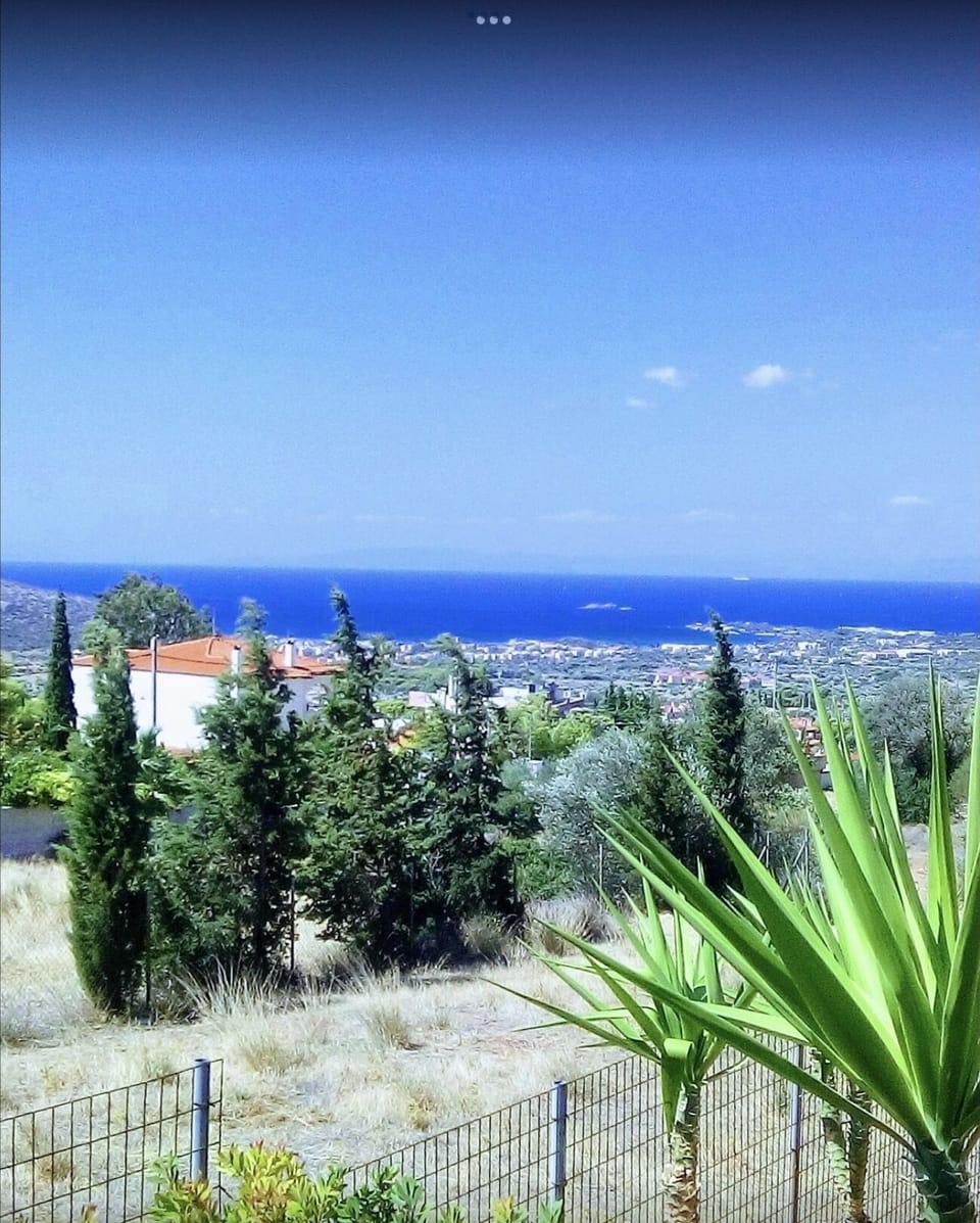 View from terrace