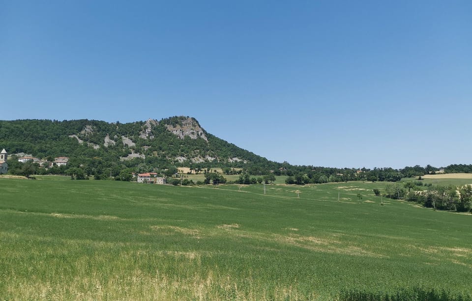 area