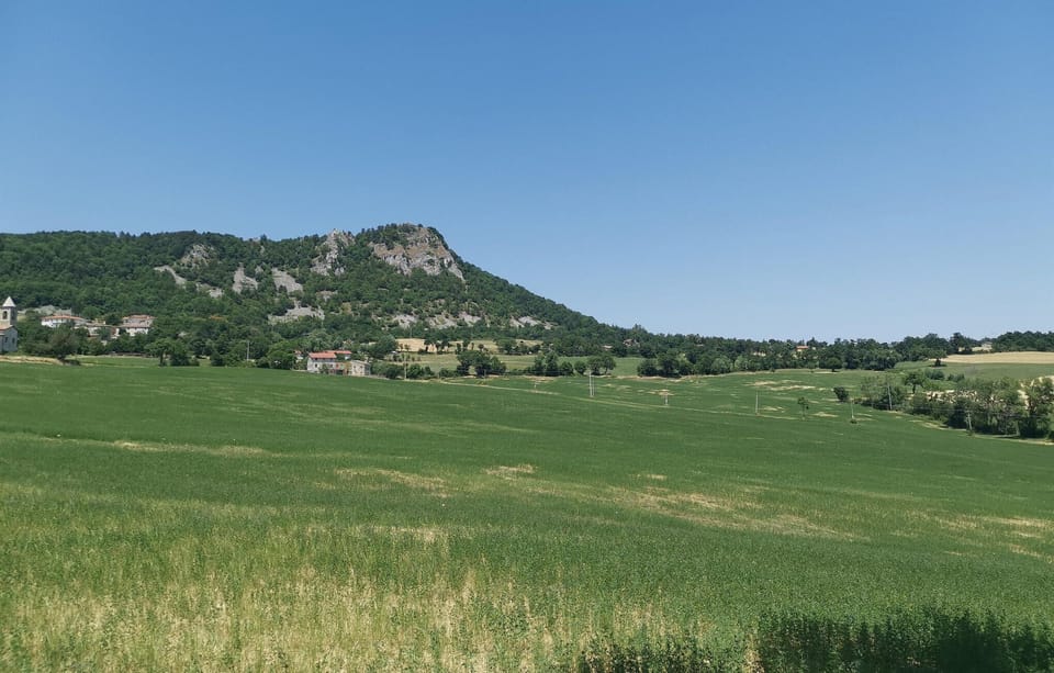 area