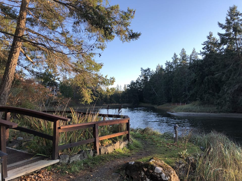 One of a couple of ponds to explore on the property
