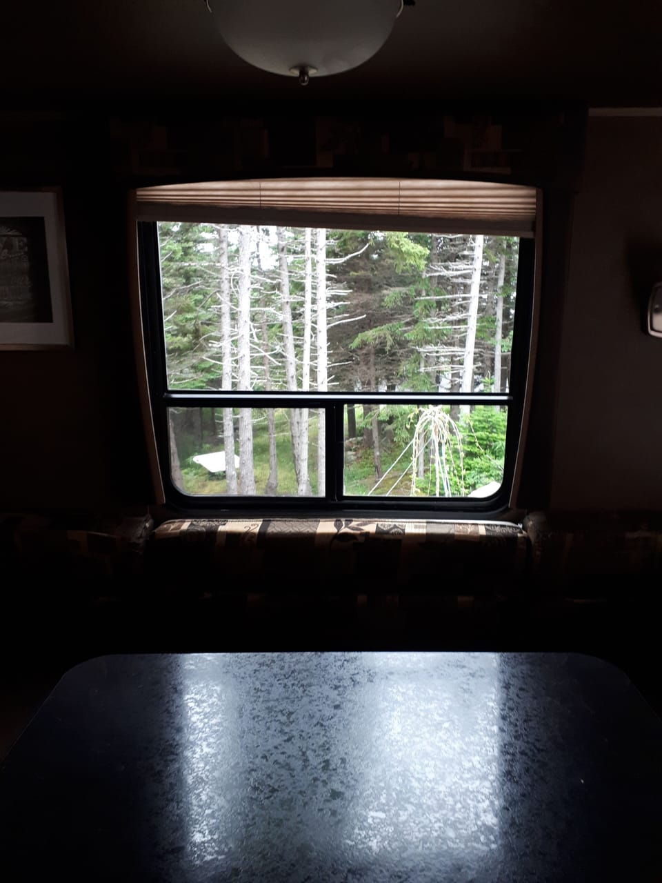 Wooded view from the dining table