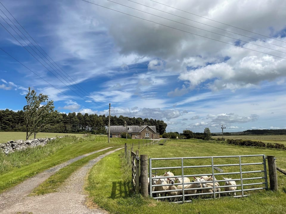 Setting | Pine Cottage - Easter Dalziel Farm Cottages, Dalcross