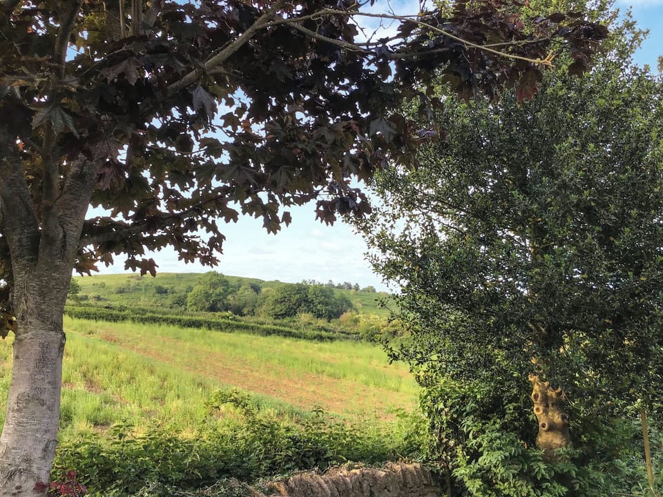 View | Fig Tree Shepherd&rsquo;s Hut, Bridport