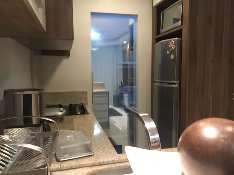 Premium Apartment | Private kitchen | Full-size fridge, microwave, oven, stovetop