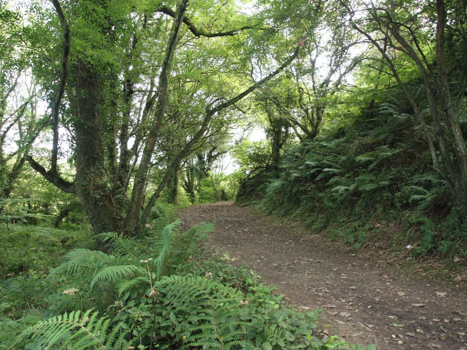 Haroldston Lodge, Broadhaven