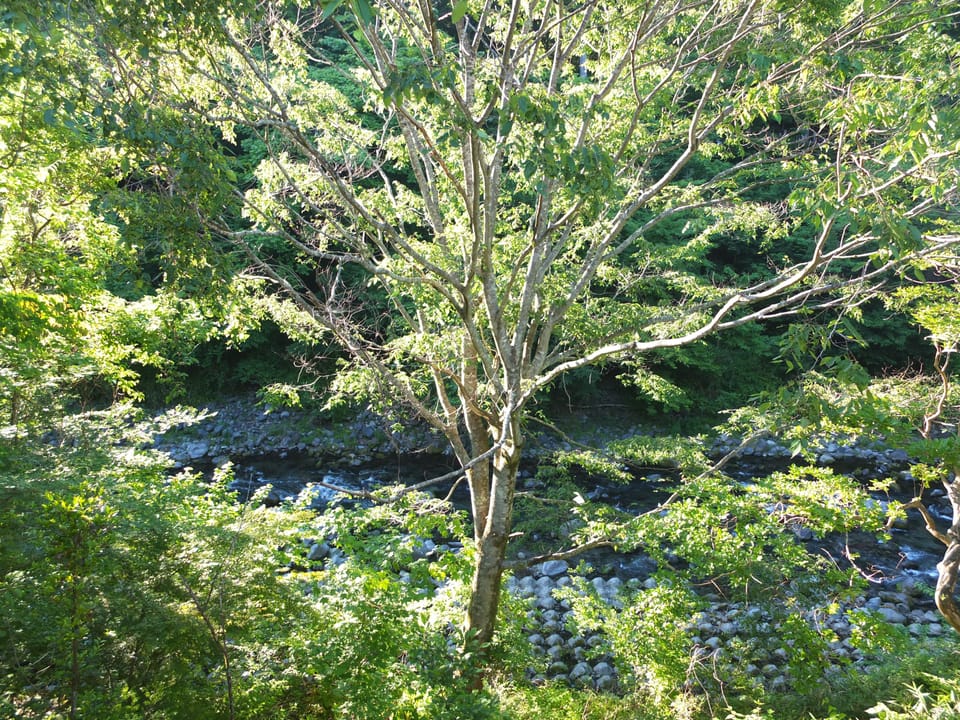 View from room