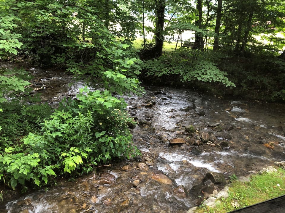 Campbell Creek 