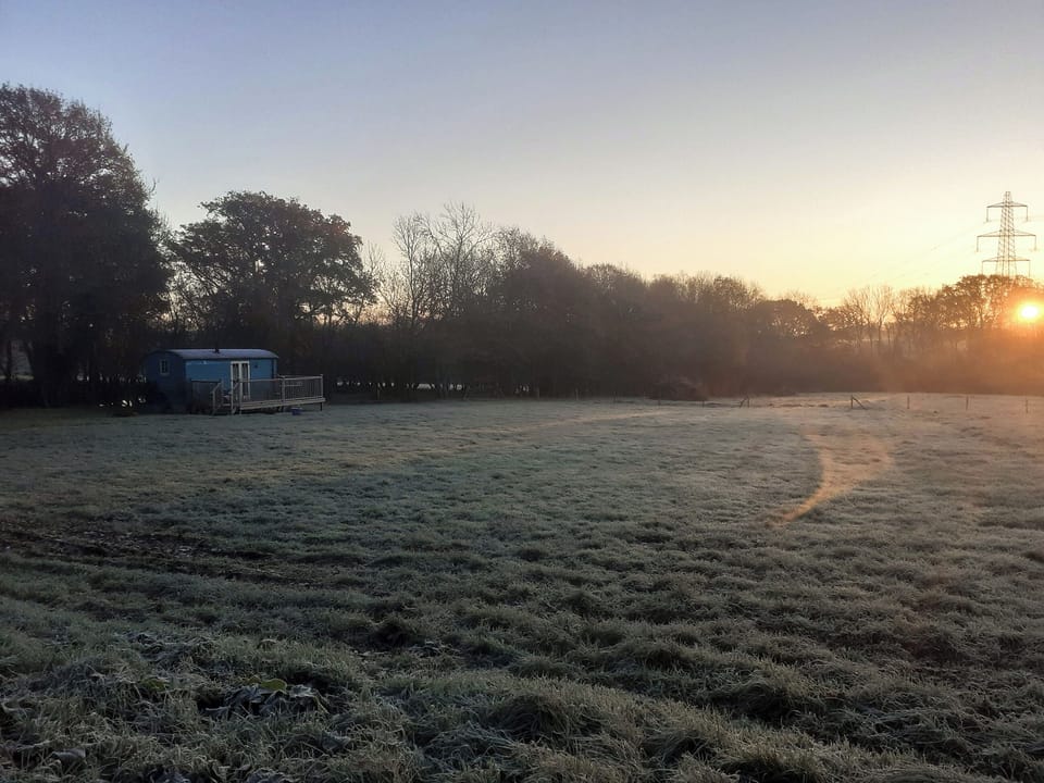 Setting | The Shepherd&rsquo;s Hut at Calvesfield Shaw - Chilsham Farm Nurseries, Herstmonceux, near Hailsham