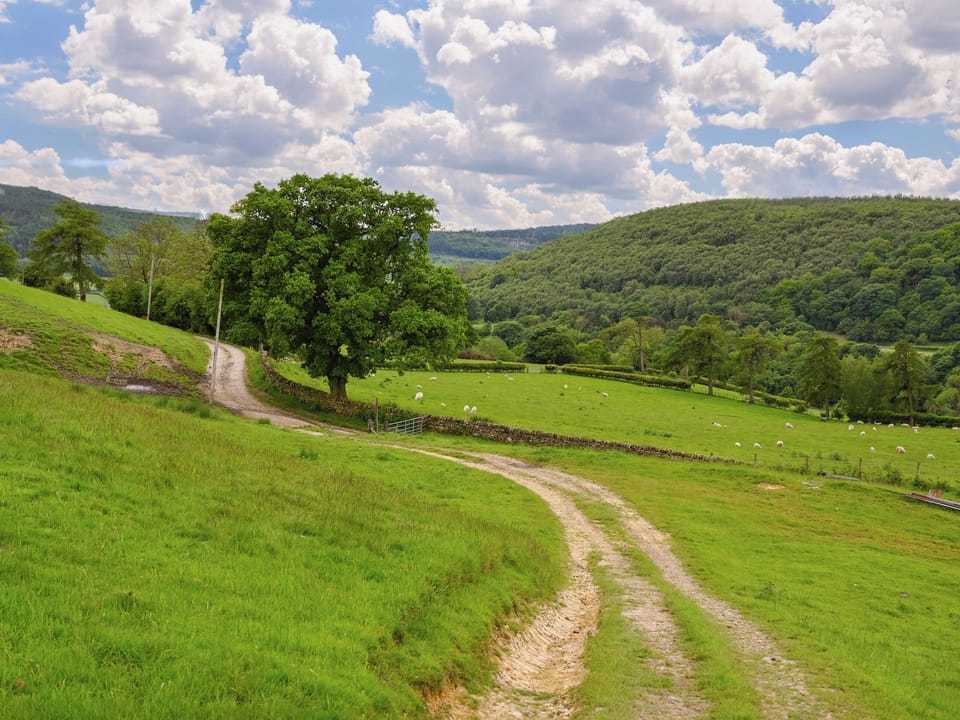 Surrounding area | Tiggywinkle Cottage, Hawnby, near Helmsley
