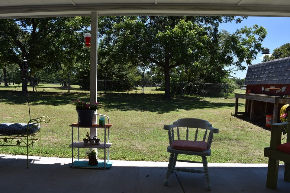 fenced back yard
