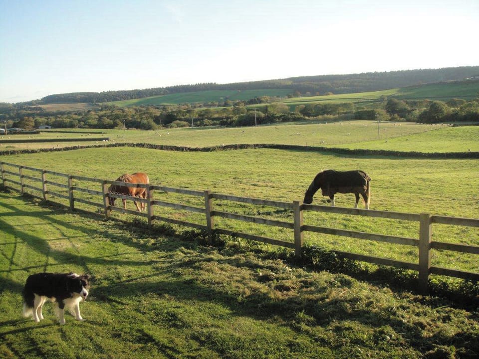 Whitehall Farm Cottages - Badger&rsquo;s Barn, Staintondale near Scarborough