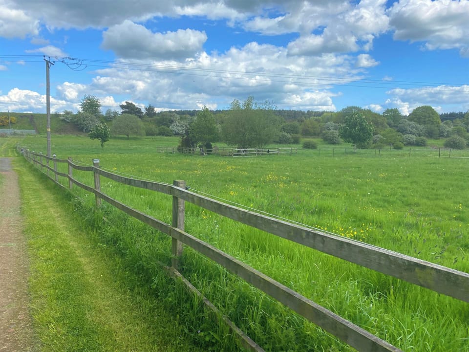 Surrounding area | Sherwood Forest Lodge 2 - Sherwood Forest Lodges, Kings Clipstone, near Mansfield