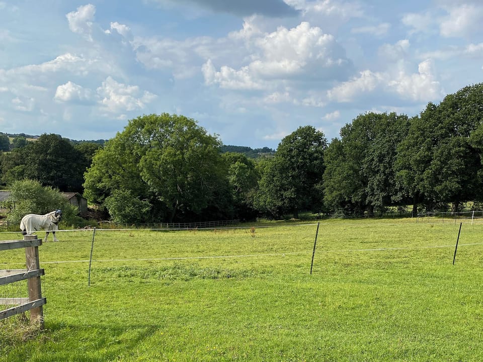 Surrounding area | Oakleigh, Holymoorside